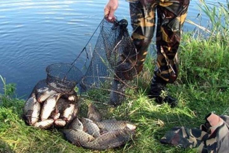 Жителю Одещини, який незаконно виловив 44 рибини, суд призначив штраф у 127 тис грн